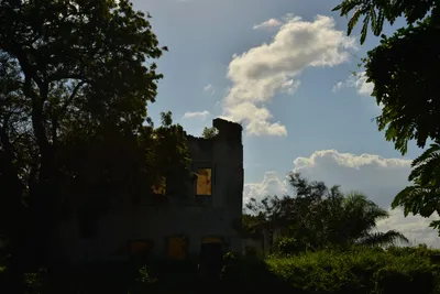 DSC_4596 (Large).JPG